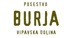 Bruja producent wina logotyp